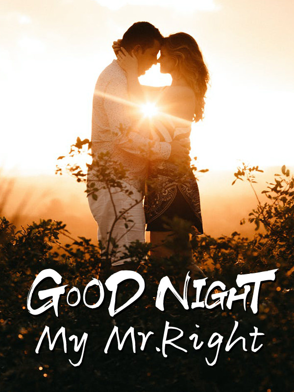 Good Night My Mr.Right